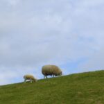 Dutch mountain | ruimtelijke regels - het omgevingspan