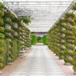 Vergunningen voor tuin of terras | Allios Deite