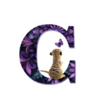 Alfabet abcde | Sierletters Allios Deite